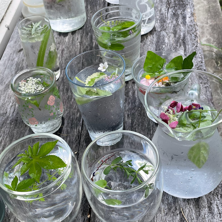 [瑞々しい森の緑と木漏れ日のイメージ]